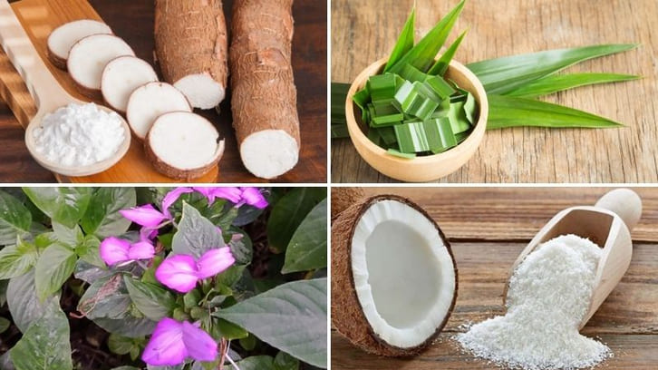 Nguyên liệu làm món bánh tằm bì miền Tây thơm ngon, hấp dẫn