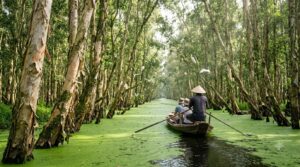 Tổng hợp kinh nghiệm đi Rừng tràm Trà Sư cho người đi lần đầu